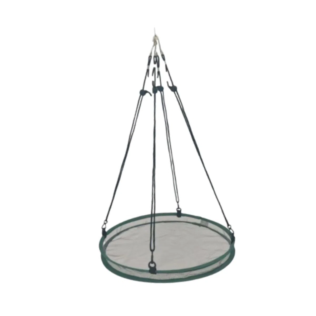 F Fityle Graines d'oiseaux Shell Catcher Playing Seed Hoop, Hoop Hoop, for Beed Feeder Birds Lover Agriculteur, Diamètre 40cm