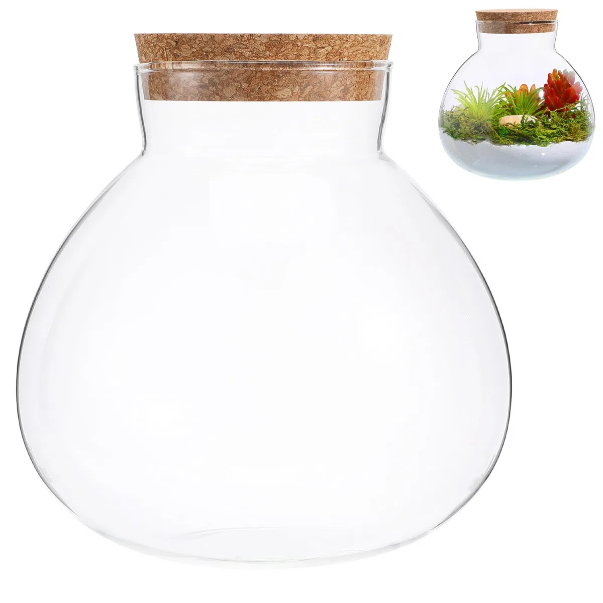 Ciieeo Bouteille Terrarium Ronde avec Bouchon en Liège en Verre Lisse sans Bavures, pour Décoration Intérieure et Stockage de Mousse