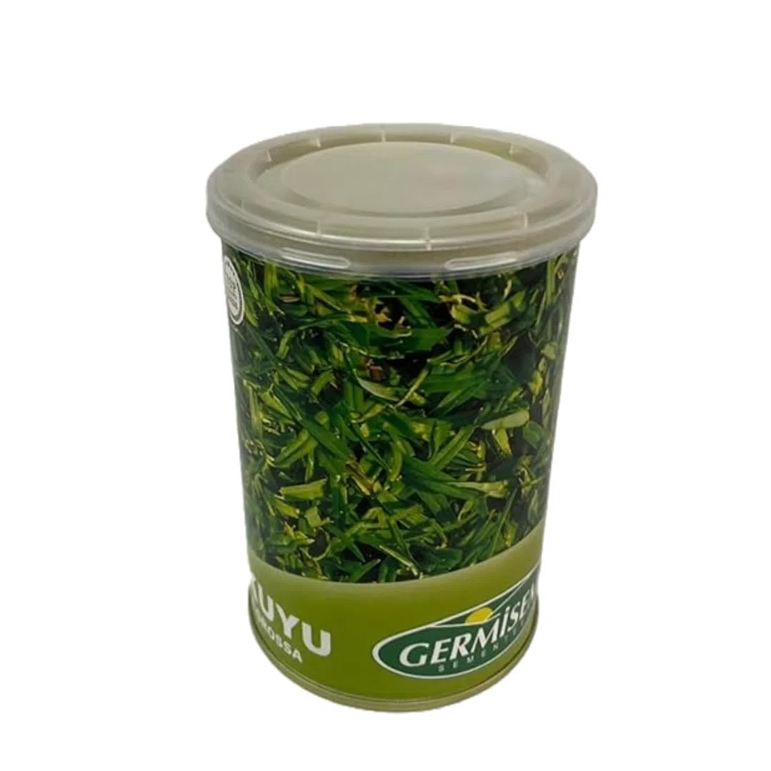 Pelouse Tropicale Kikuyu 250g