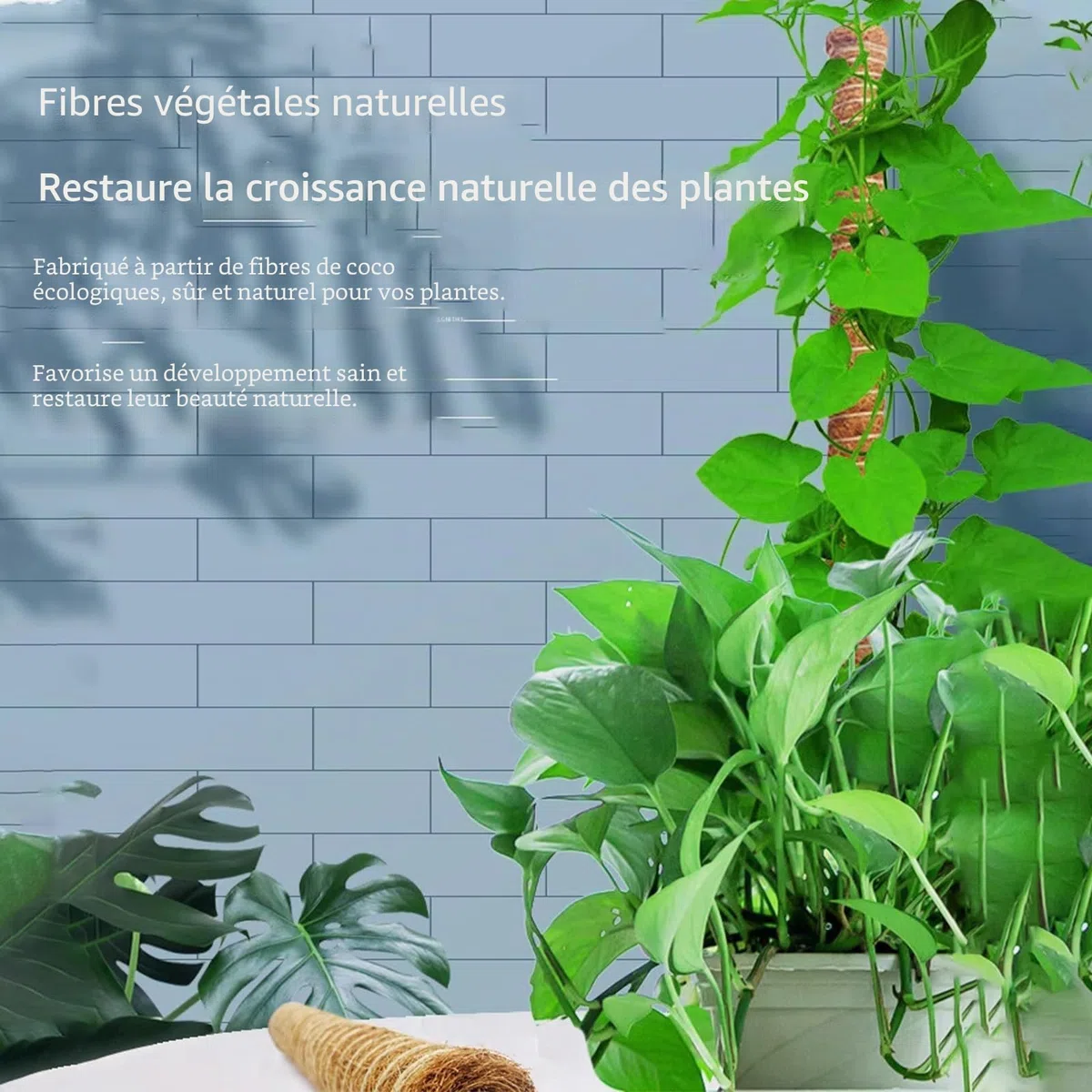 Tuteur Monstera - 4 Tuteurs Plantes Grimpantes 42 cm - Tuteurs Coco Extensibles - Tuteur Plante avec Corde de Jute, Scratch et Colliers de Serrage en Épi, pour Monstera et Autres Plantes Grimpantes