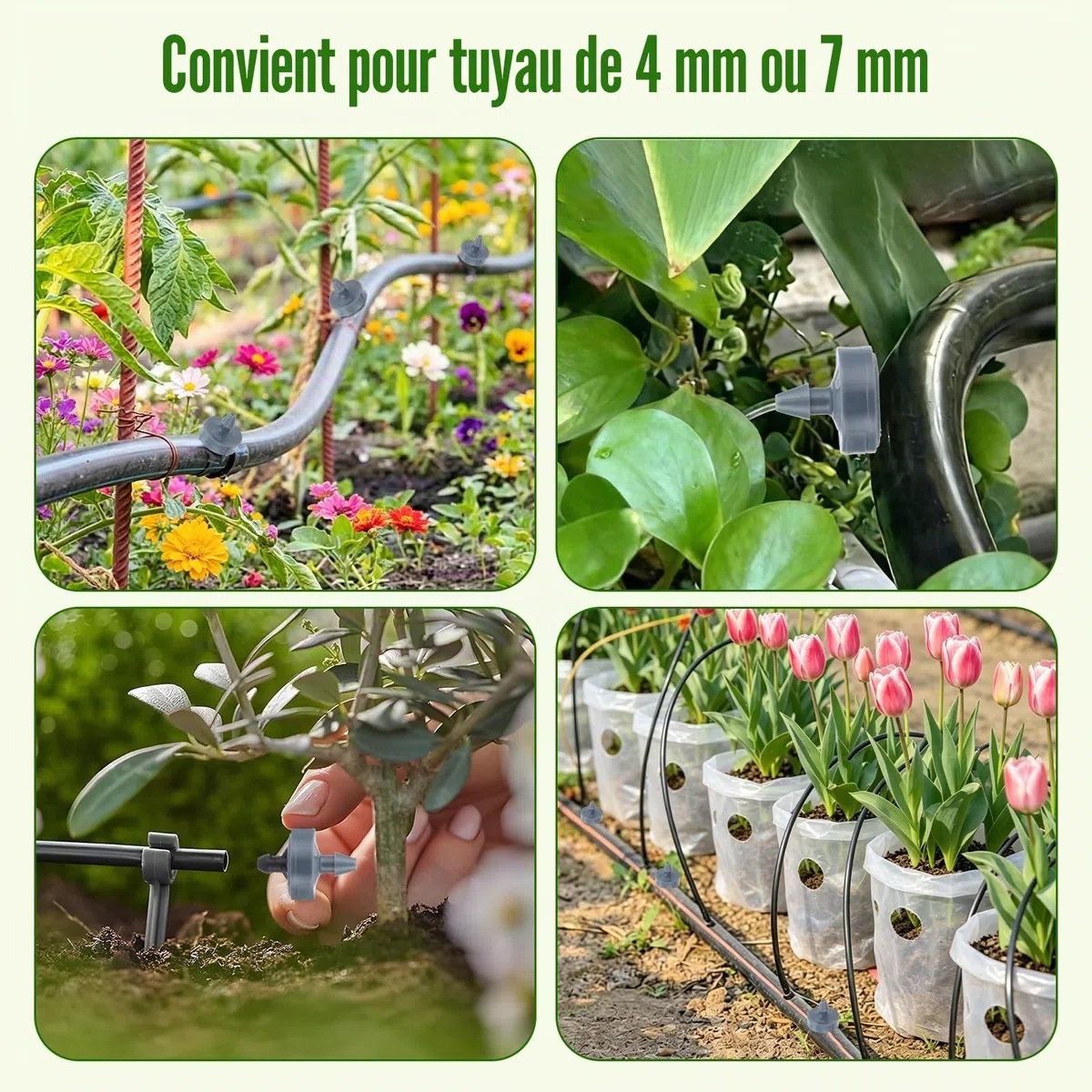 Buachois 100 Pcs émetteurs de Goutte à Goutte Compensateurs, 4L Pression Goutteur D'irrigation à Compensation, Stabilisateur de Débit D'irrigation de Jardin Détachable pour Tuyau ID 4 mm OD 7 mm