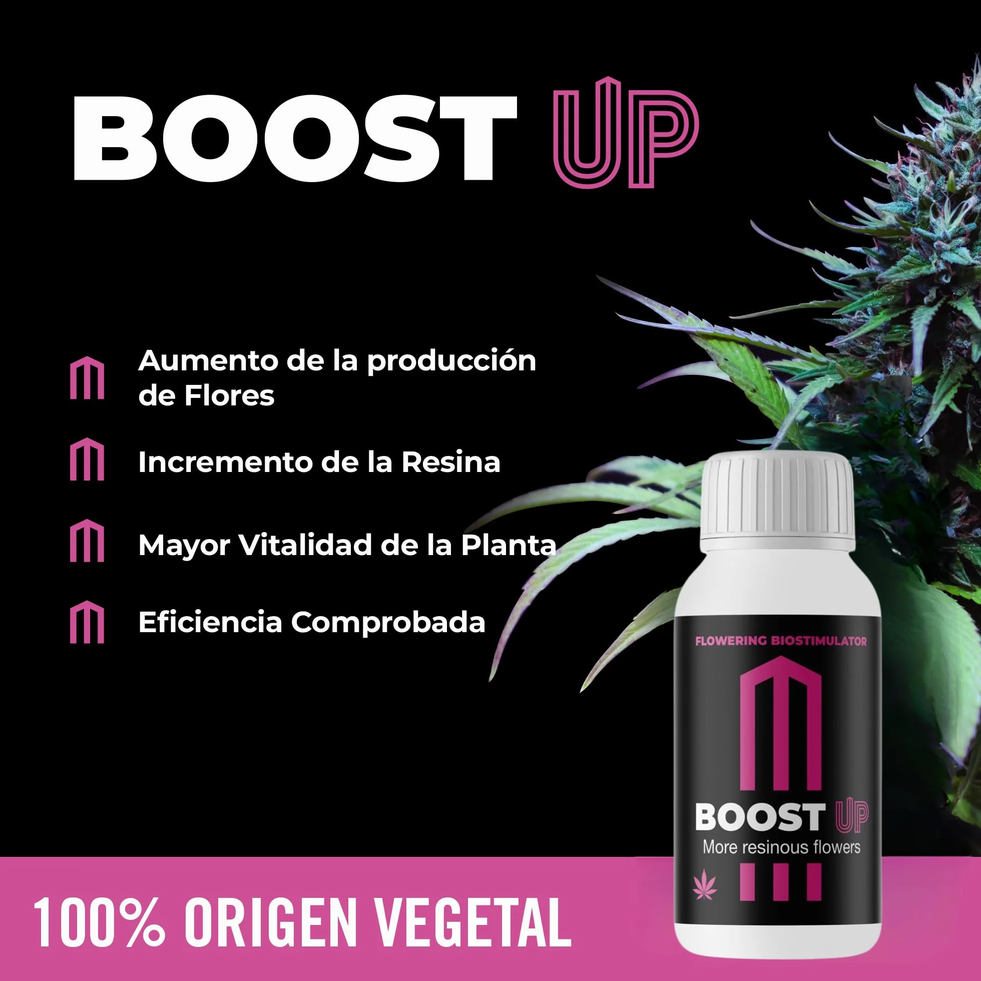 GROWMANIA Root Juice de BioBizz 250 ml + échantillon Boost Up Nutrients + Doseur | Stimulateur de racines biologiques | Pour jeunes plantes et graines