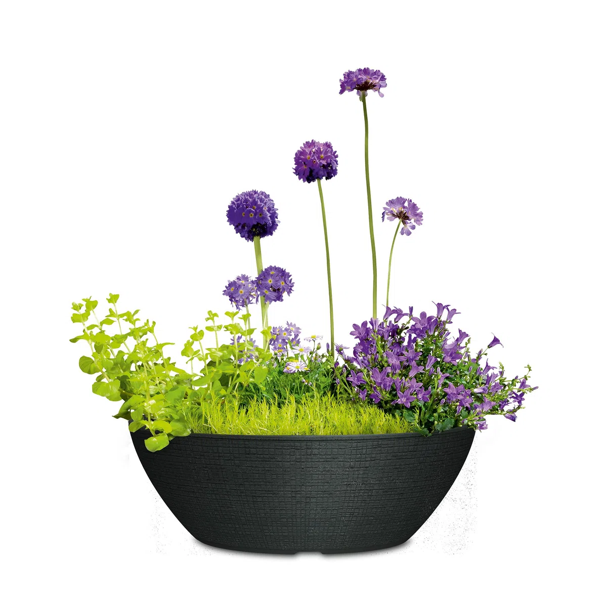 scheurich Jardinière, Noir Pierre, 19,5
