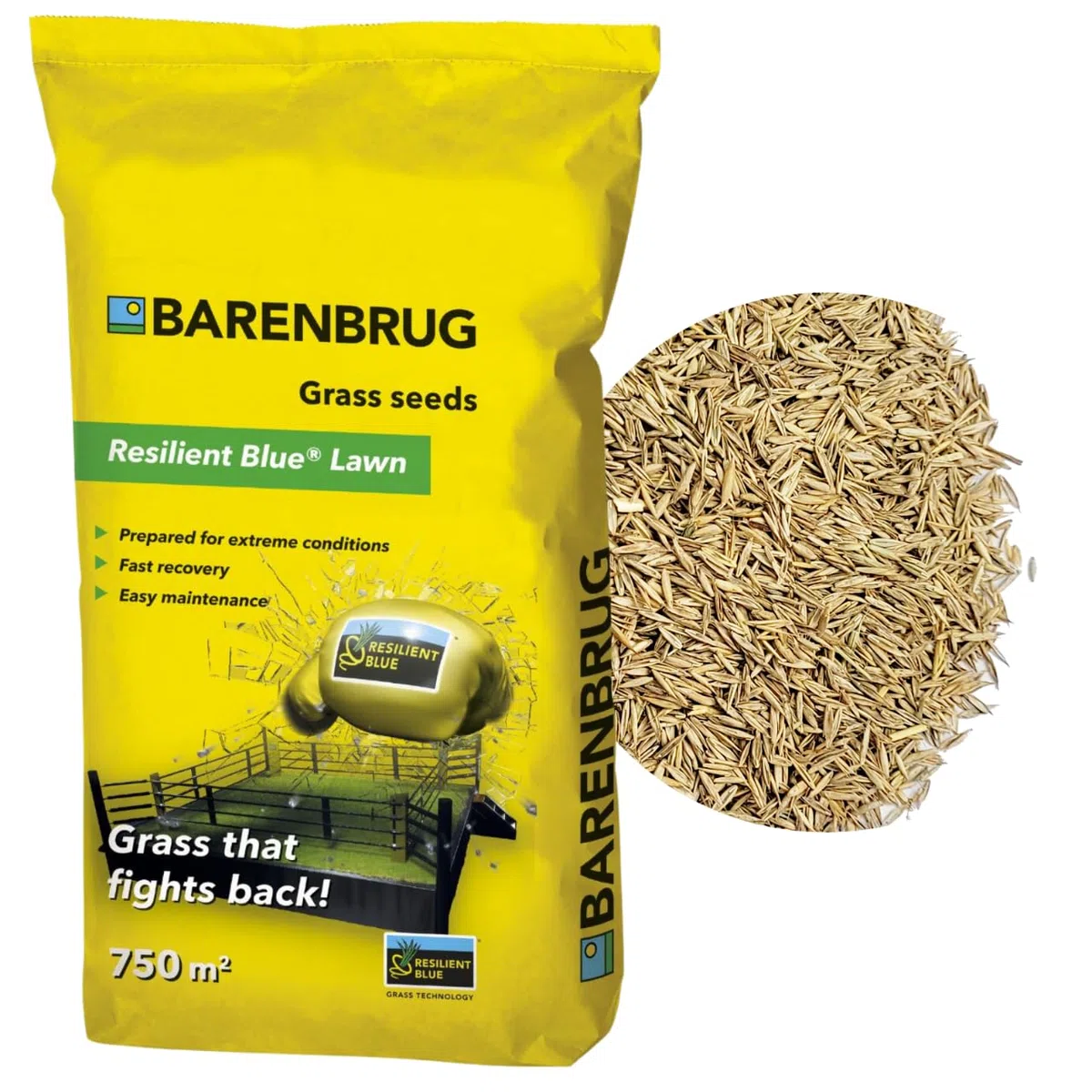 Barenbrug Resilient Blue 15 kg – Gazon Robuste, RÉSISTANT AUX Rayures !