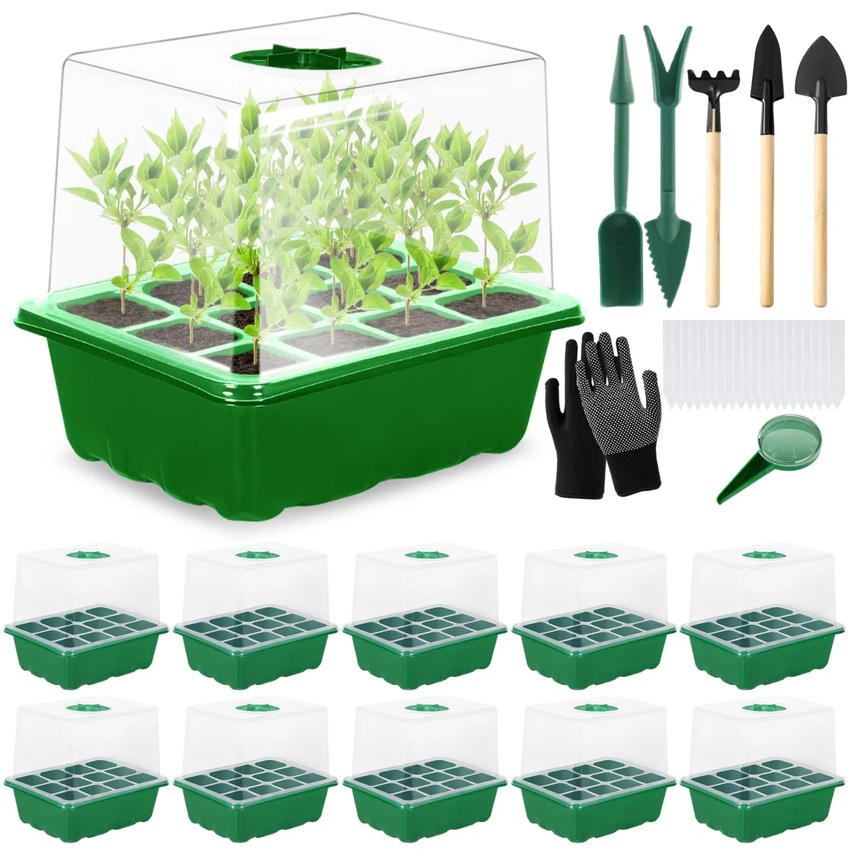 Mini Serre Intérieure pour Plantes, 10 Pièces 120 Cellules, Plateau de Semis avec Couvercle surélevé, Boîte de Pépinière pour Plantes Intérieure, Outils de Jardinage Inclus