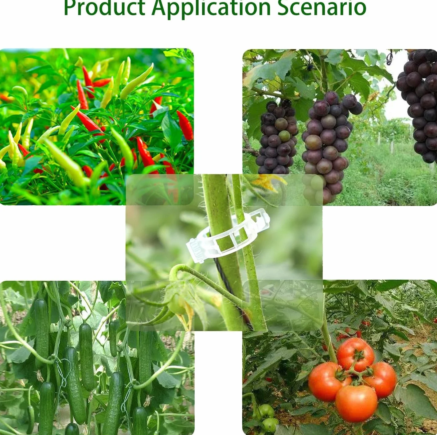 Lot de 50 Plantes Clips pour Tomate, Clips pour Grimpantes, Jardin Clips en Plastique pour légumes