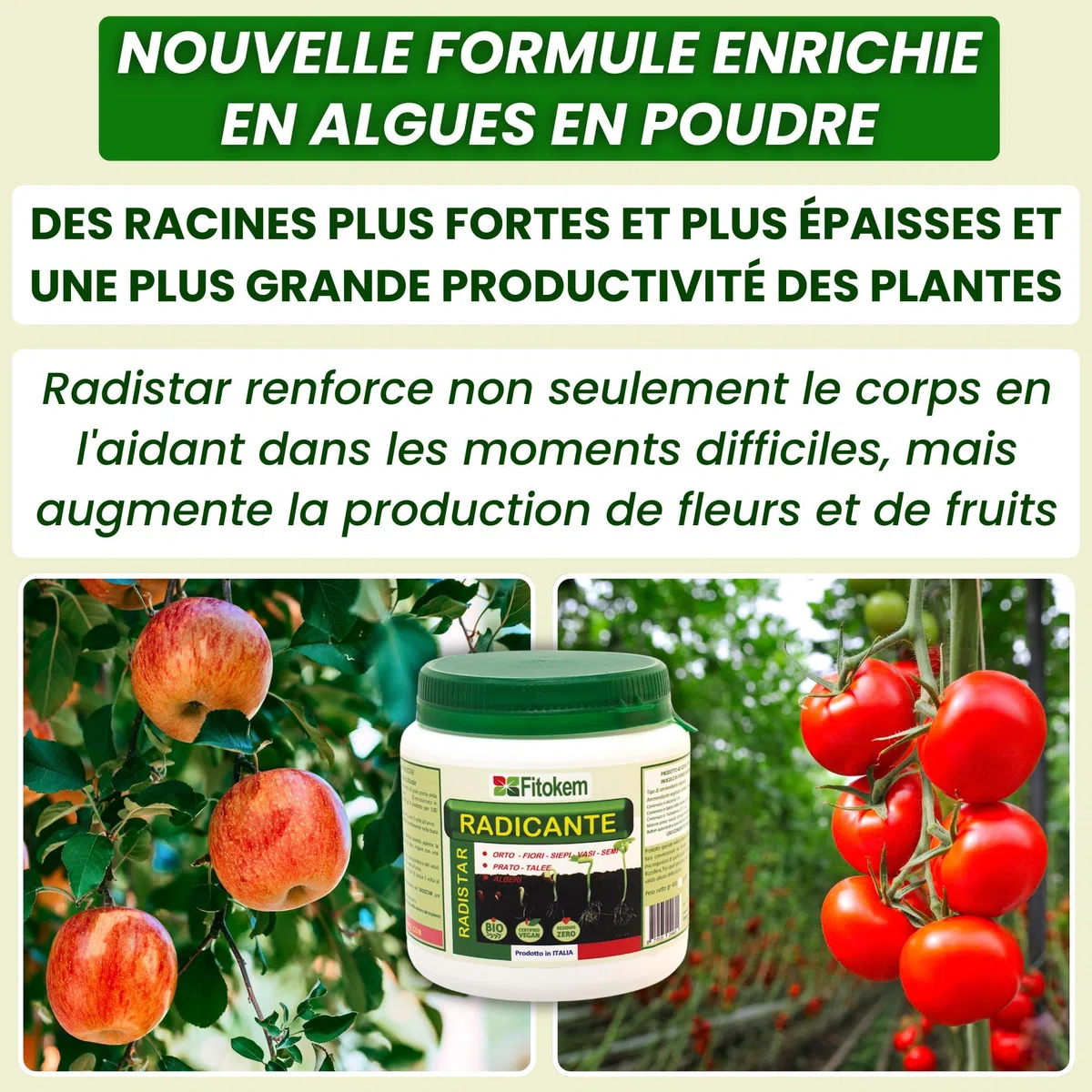 FITOKEM Radistar - Hormone de Bouturage Poudre (400 gr) Stimulateur de Racines Mycorhizes en Poudre Bio, Stimule la Production et la Croissance Naturelle des Racines, Made in Italy