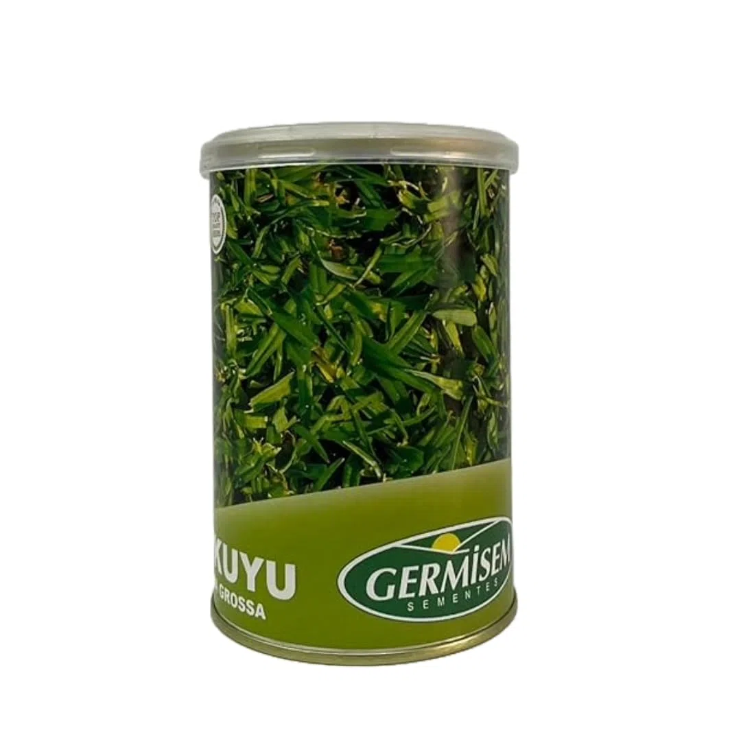 Pelouse Tropicale Kikuyu 250g