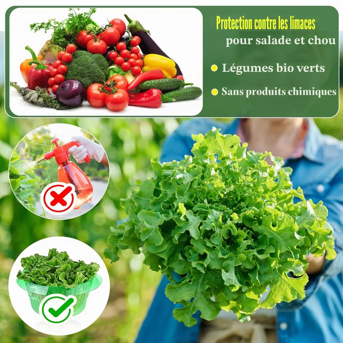 Lot de 12 colliers anti-limaces - Protection contre les limaces sans granulés - Protège les plantes sans produits chimiques