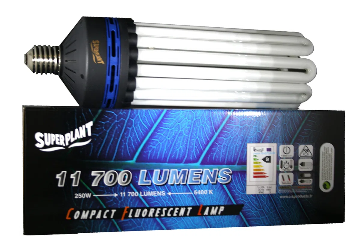 Ampoule à économie d'énergie 250 W 6400 K Grow