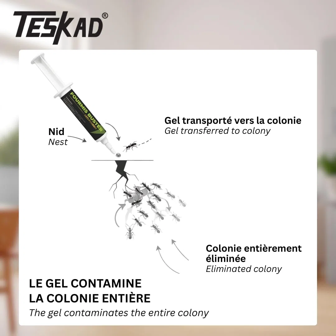 Fourmis Buster Gel Anti-Fourmis, 10g, Traitement Intérieur et Extérieur, Prêt à l'Emploi, Action Ciblée sur la Colonie