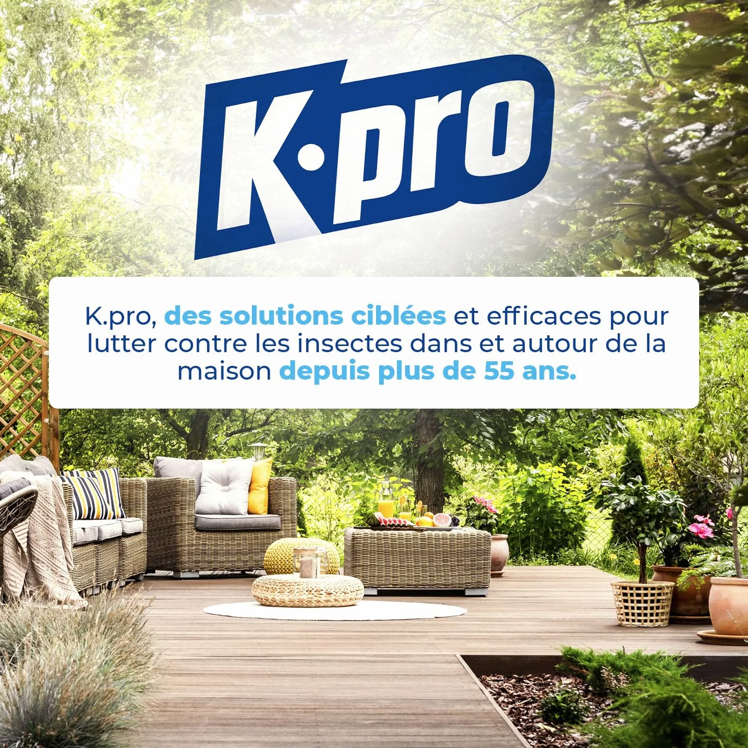 K.PRO Aérosol fourmis, 400ml, élimine immédiatement tous les types de fourmis dont fourmis d'Argentine, action foudroyante et curative, agréablement parfumé
