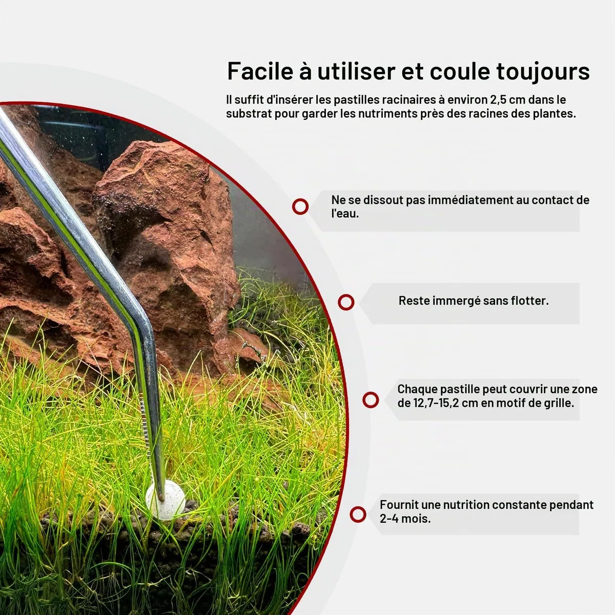 FZONE Tablettes d'Engrais Racinaire pour Aquarium d'Eau Douce 50 Pièces