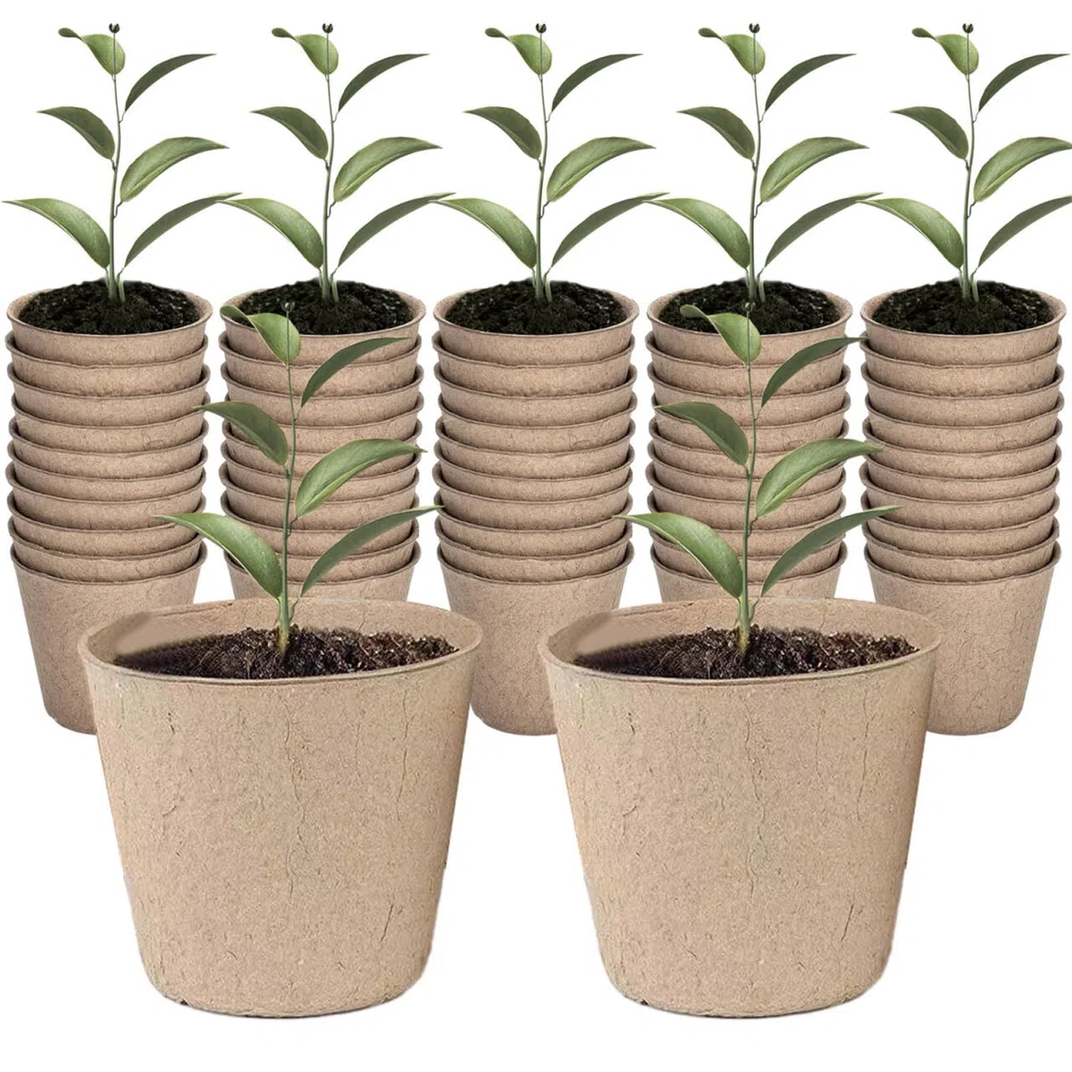 Pots de Culture Biodégradables Godets Plantes Fibre Pots de Tourbe pour Jardin 50 Pièces