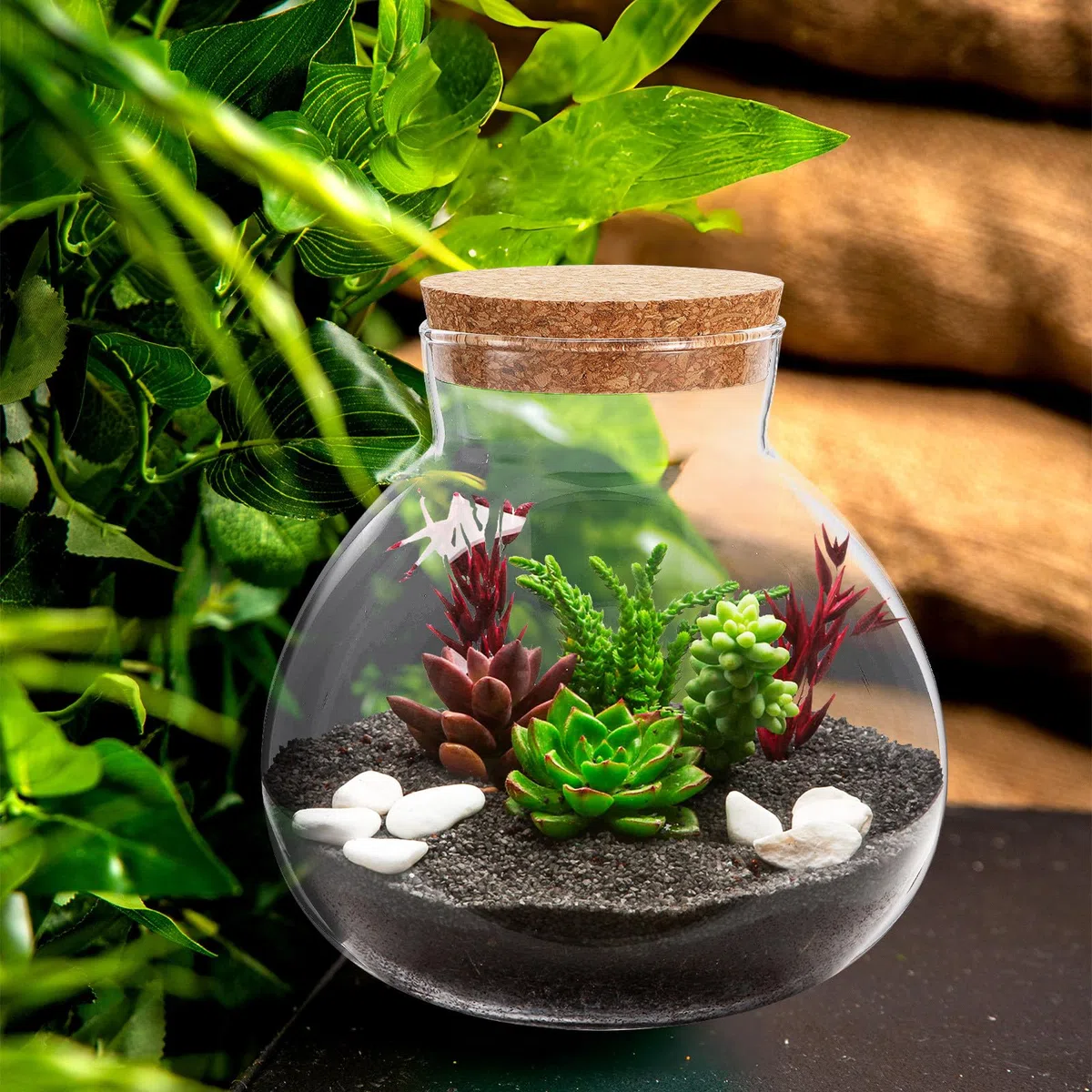 Ciieeo Bouteille Terrarium Ronde avec Bouchon en Liège en Verre Lisse sans Bavures, pour Décoration Intérieure et Stockage de Mousse