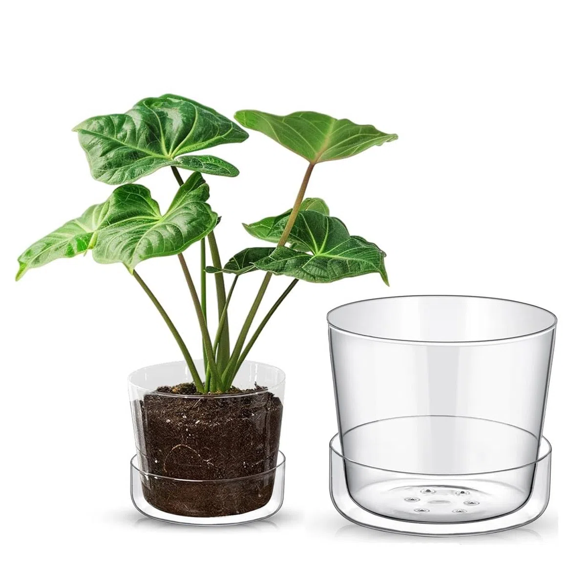 Pot de fleurs en verre transparent avec trous de drainage et plateau – Décoratif et moderne pour toutes les plantes d'intérieur (10,2 et 15,2 cm)