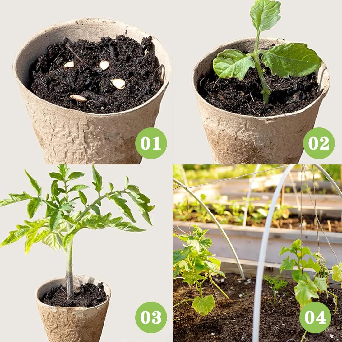 Pots de Culture Biodégradables Godets Plantes Fibre Pots de Tourbe pour Jardin 50 Pièces