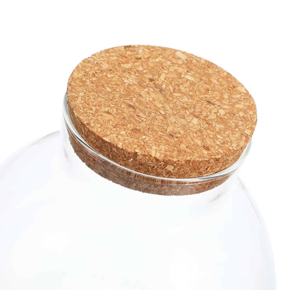Ciieeo Bouteille Terrarium Ronde avec Bouchon en Liège en Verre Lisse sans Bavures, pour Décoration Intérieure et Stockage de Mousse