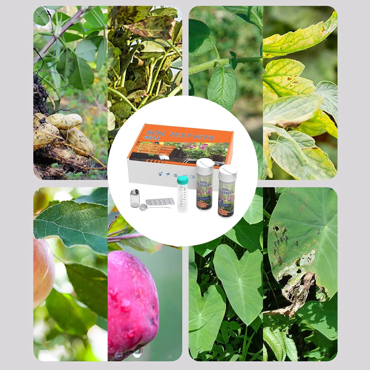Générique 4-in-1 Soil Test Kit - 40 Tests for Nitrogen, Phosphorus, Potassium & PH, Garden Nutrient Tester Strips for Vegetable Plots, Lawns & Greenhouses