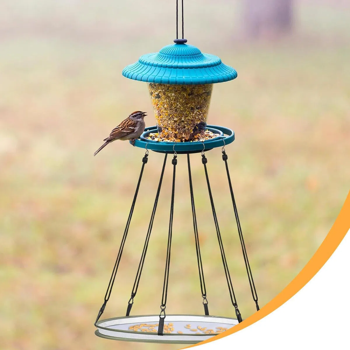 F Fityle Graines d'oiseaux Shell Catcher Playing Seed Hoop, Hoop Hoop, for Beed Feeder Birds Lover Agriculteur, Diamètre 40cm