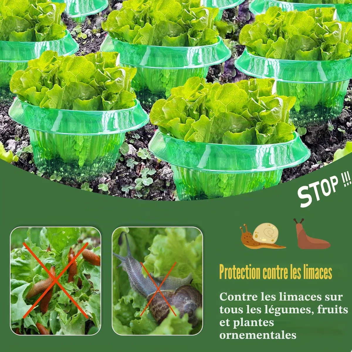 Lot de 12 colliers anti-limaces - Protection contre les limaces sans granulés - Protège les plantes sans produits chimiques