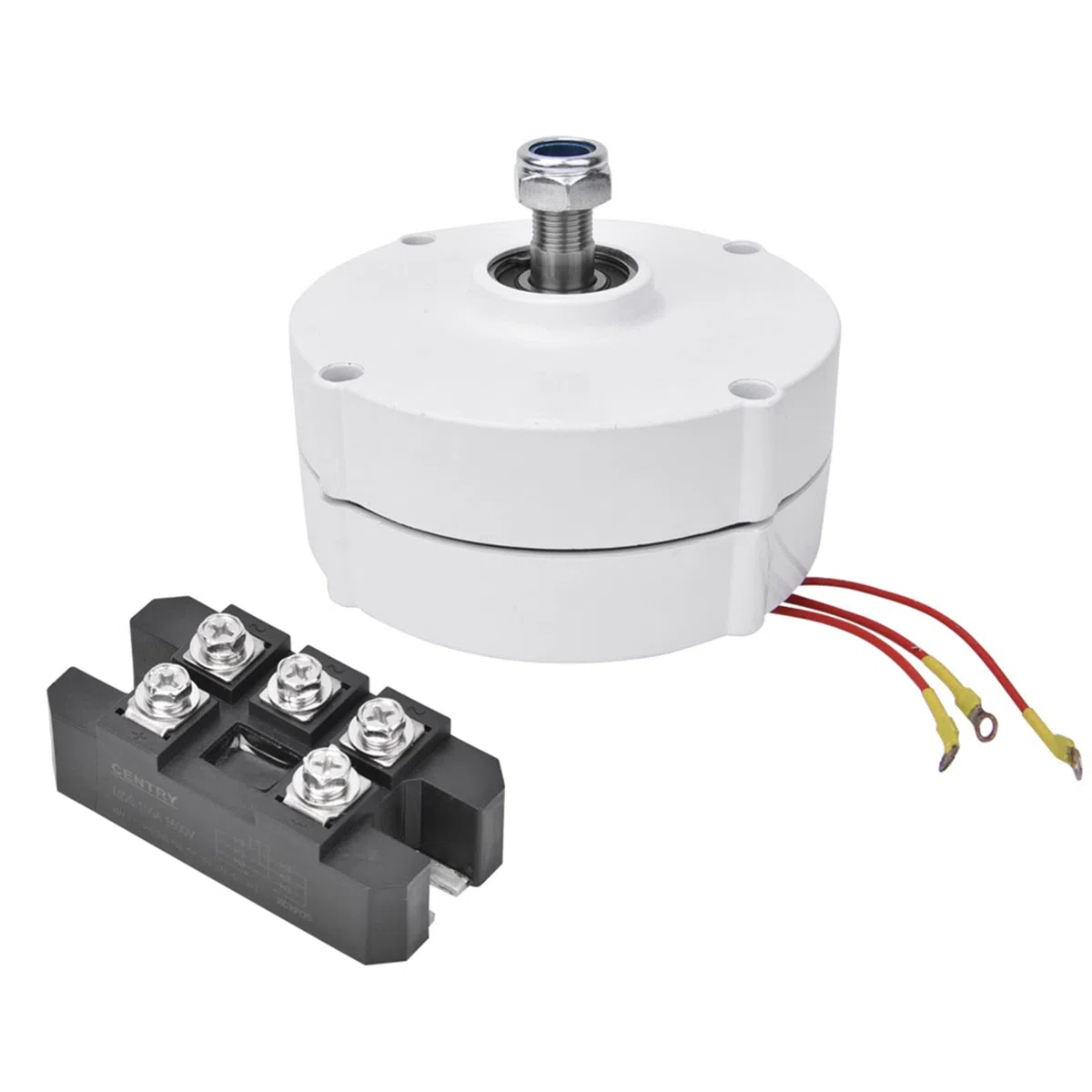 Générateur d'aimant permanent 12 V 100 W Vent alternateur 3 phases pour solutions d'énergie renouvelable (moteur + redresseur)