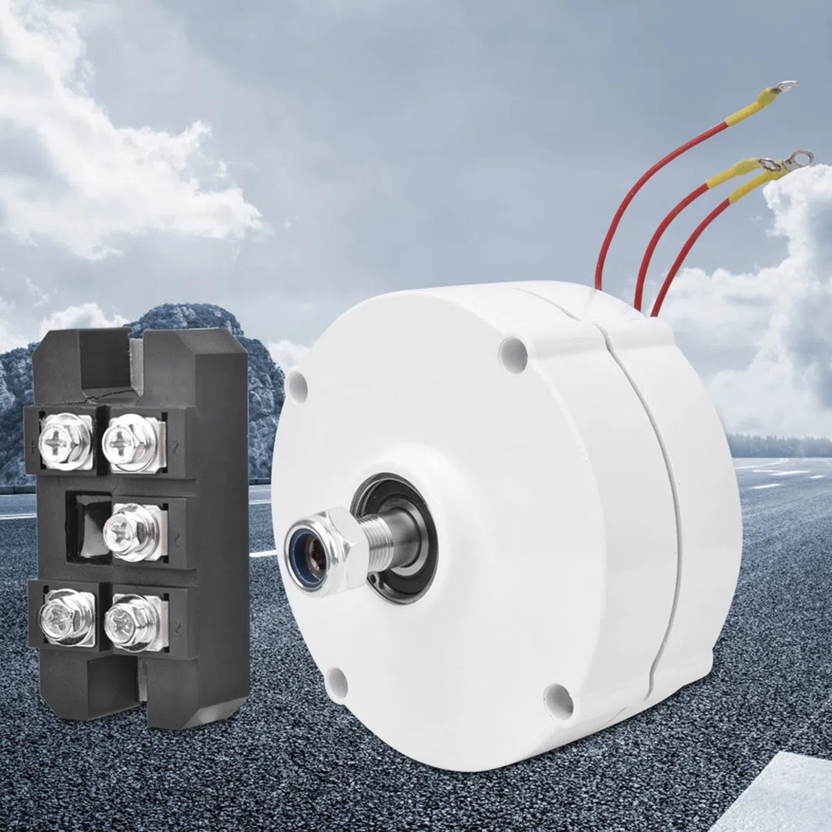 Générateur d'aimant permanent 12 V 100 W Vent alternateur 3 phases pour solutions d'énergie renouvelable (moteur + redresseur)