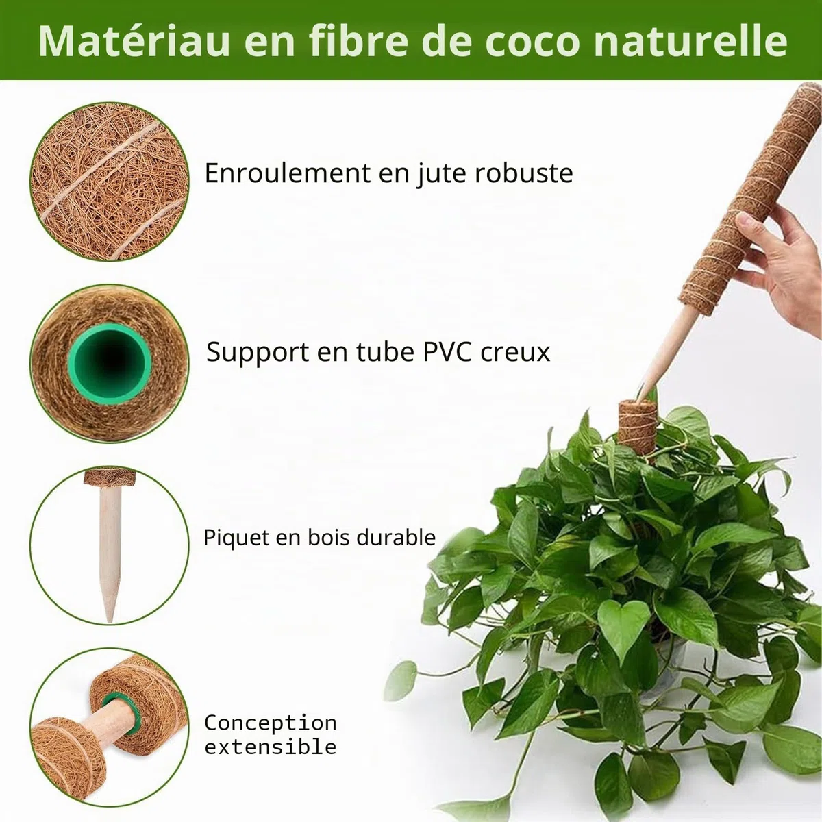 Tuteur Monstera - 4 Tuteurs Plantes Grimpantes 42 cm - Tuteurs Coco Extensibles - Tuteur Plante avec Corde de Jute, Scratch et Colliers de Serrage en Épi, pour Monstera et Autres Plantes Grimpantes