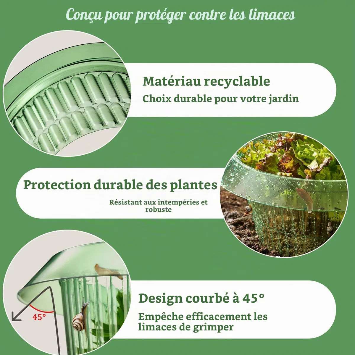 Lot de 12 colliers anti-limaces - Protection contre les limaces sans granulés - Protège les plantes sans produits chimiques