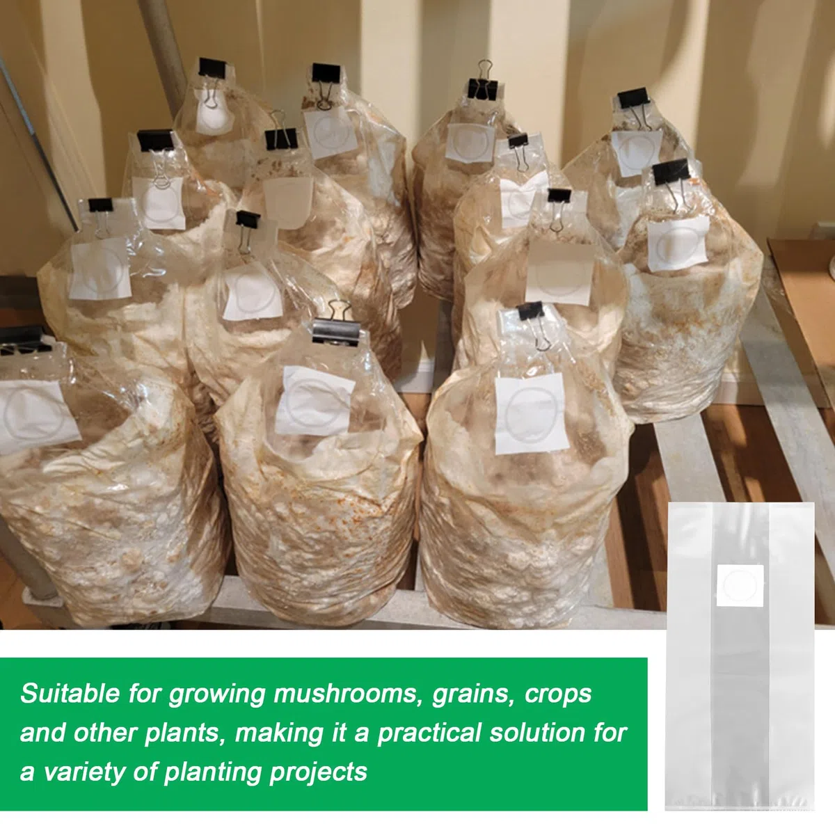 Lot de 40 Sacs de Culture de Champignons : 32 x 50 cm, Avec Filtre, Pour Plantation Horticole