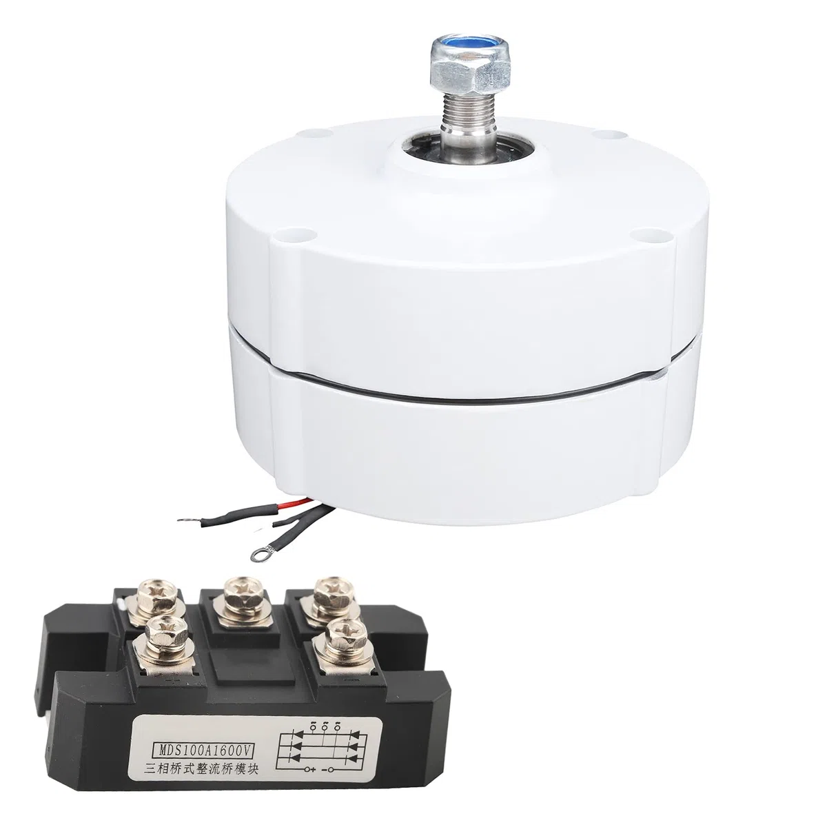 Générateur d'aimant permanent 12 V 100 W Vent alternateur 3 phases pour solutions d'énergie renouvelable (moteur + redresseur)