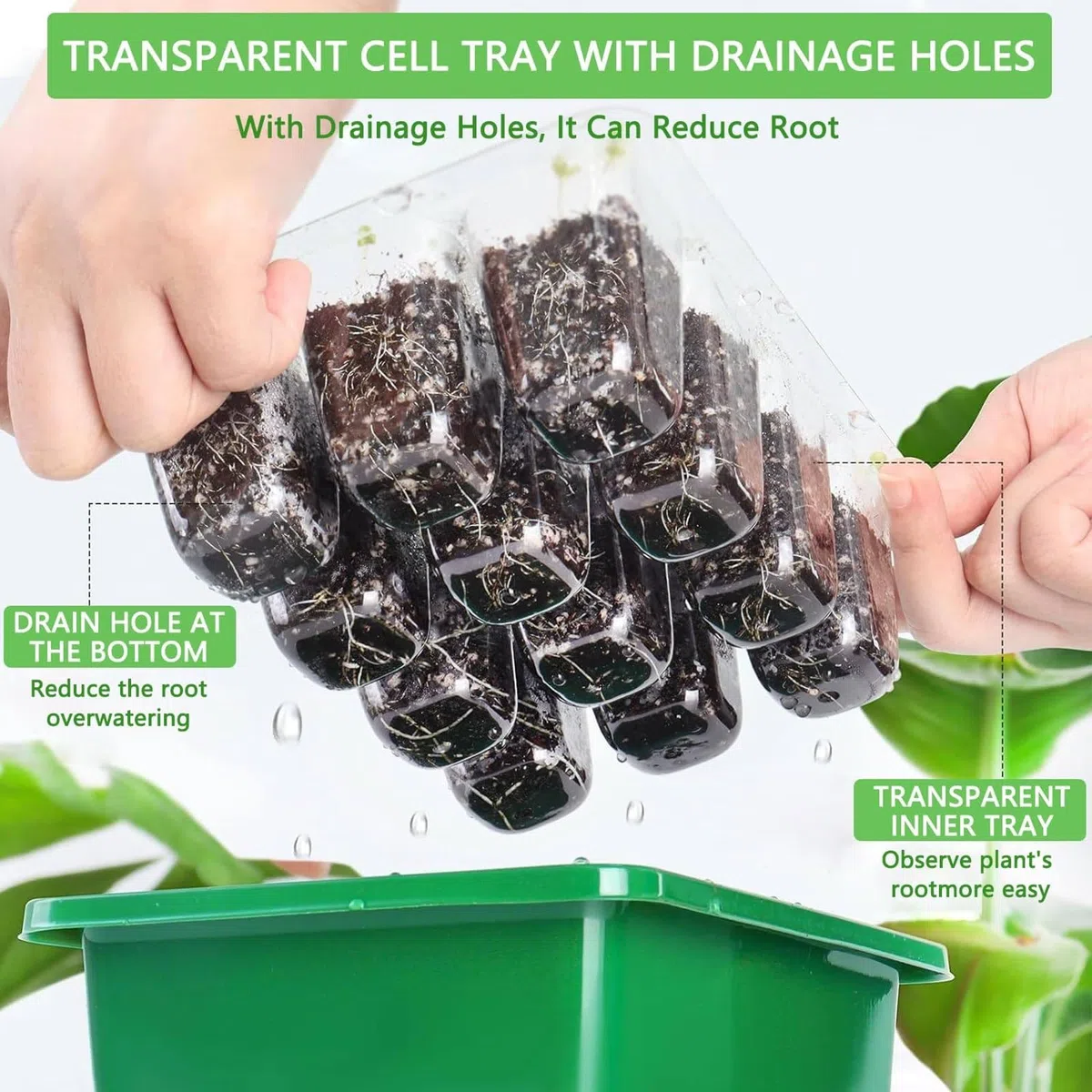 Mini Serre Intérieure pour Plantes, 10 Pièces 120 Cellules, Plateau de Semis avec Couvercle surélevé, Boîte de Pépinière pour Plantes Intérieure, Outils de Jardinage Inclus