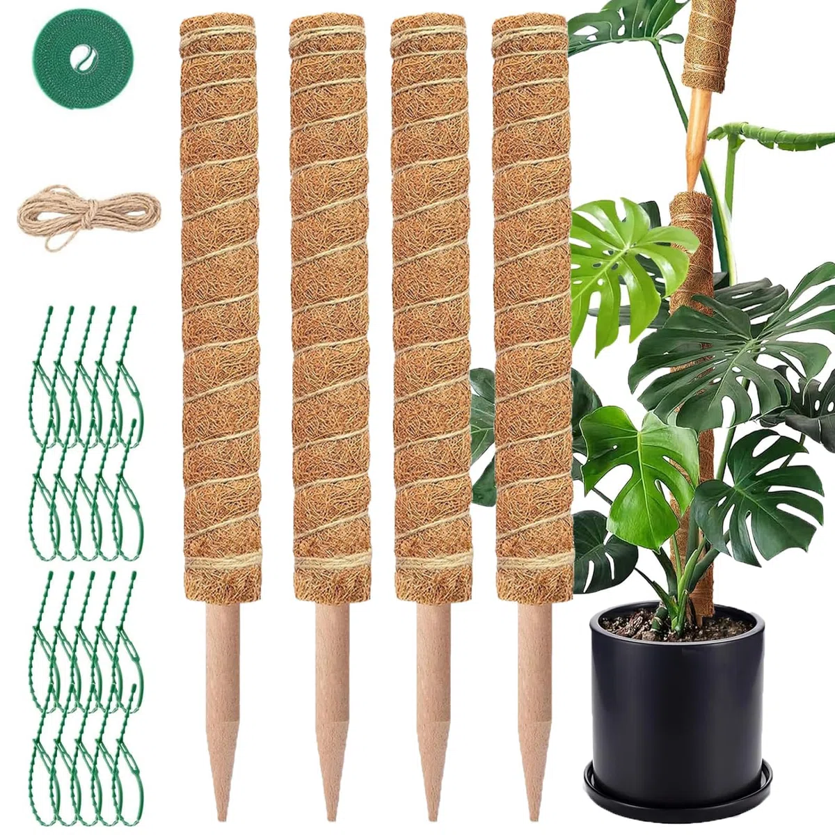 Tuteur Monstera - 4 Tuteurs Plantes Grimpantes 42 cm - Tuteurs Coco Extensibles - Tuteur Plante avec Corde de Jute, Scratch et Colliers de Serrage en Épi, pour Monstera et Autres Plantes Grimpantes