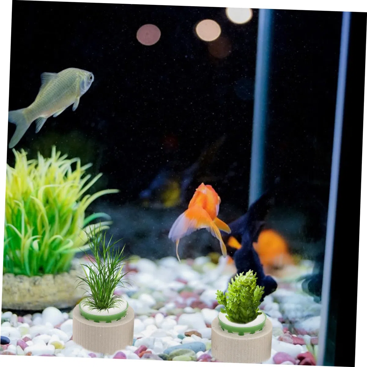 SOIMISS Lot de 9 Set de Set de Anneaux Fixes en Céramique pour Plantes Aquatiques, Pots de Plantation Robustes Coton, Adaptés pour Aquarium Marine et Eau Douce