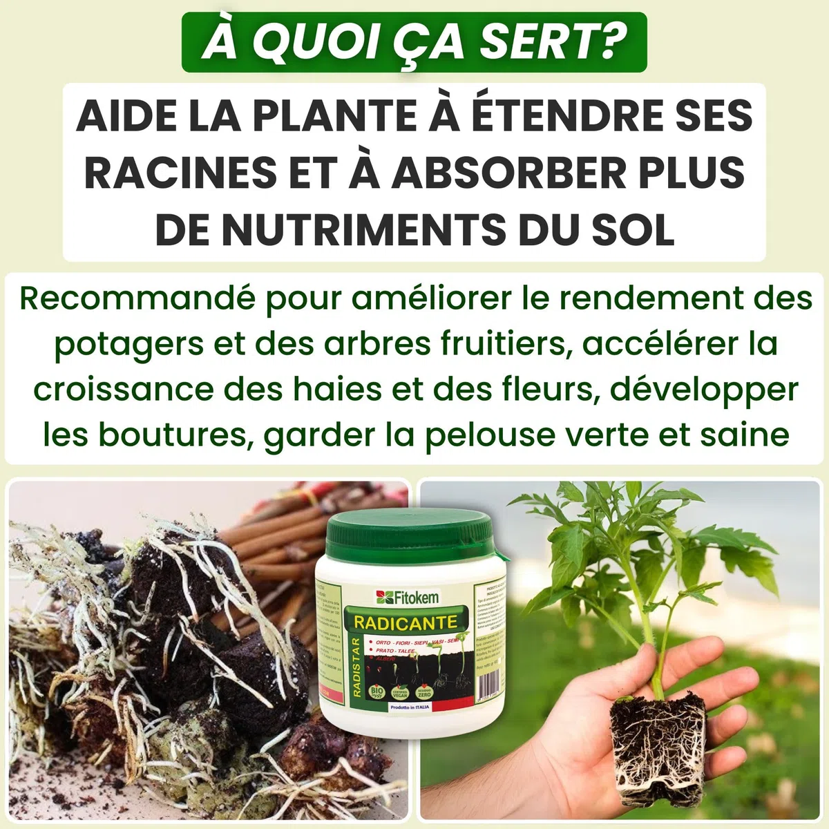 FITOKEM Radistar - Hormone de Bouturage Poudre (400 gr) Stimulateur de Racines Mycorhizes en Poudre Bio, Stimule la Production et la Croissance Naturelle des Racines, Made in Italy