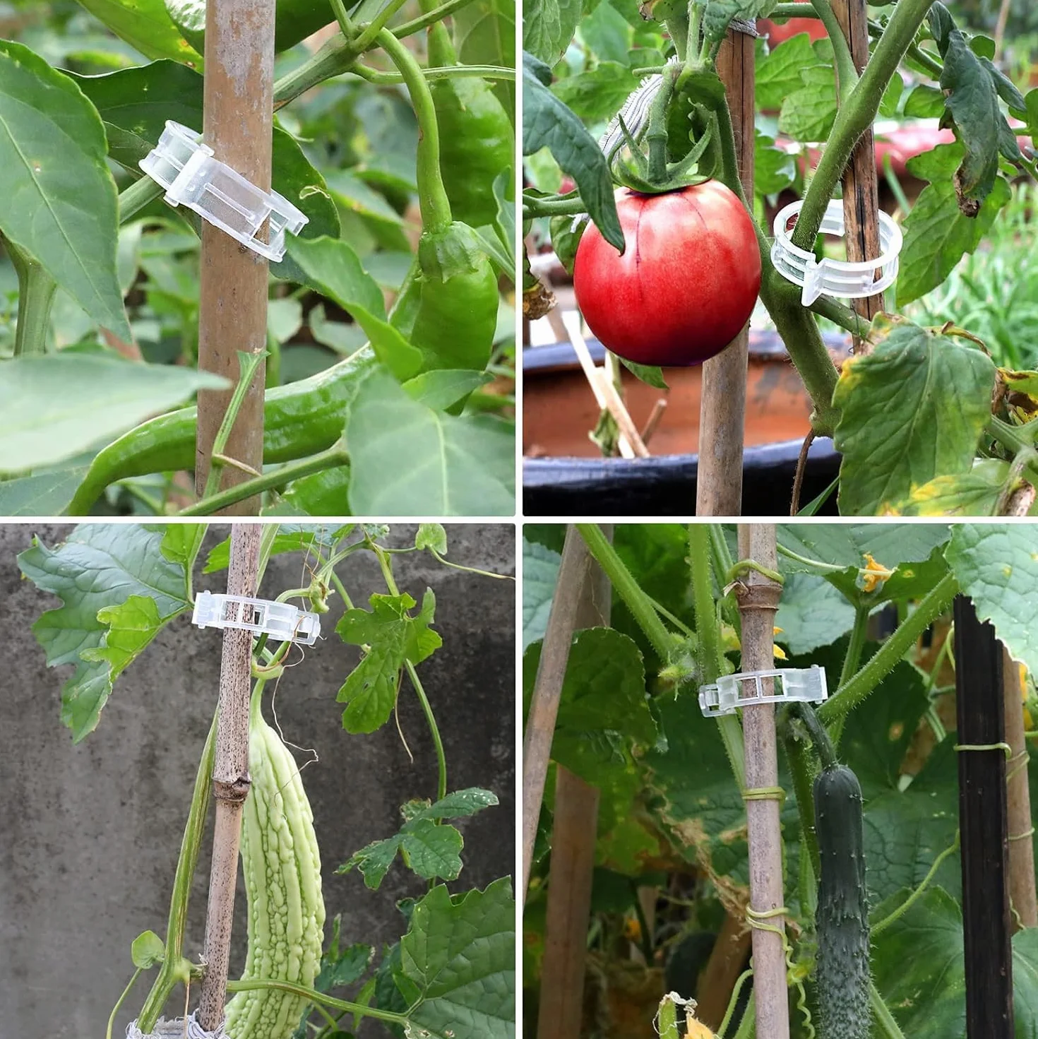 Lot de 50 Plantes Clips pour Tomate, Clips pour Grimpantes, Jardin Clips en Plastique pour légumes