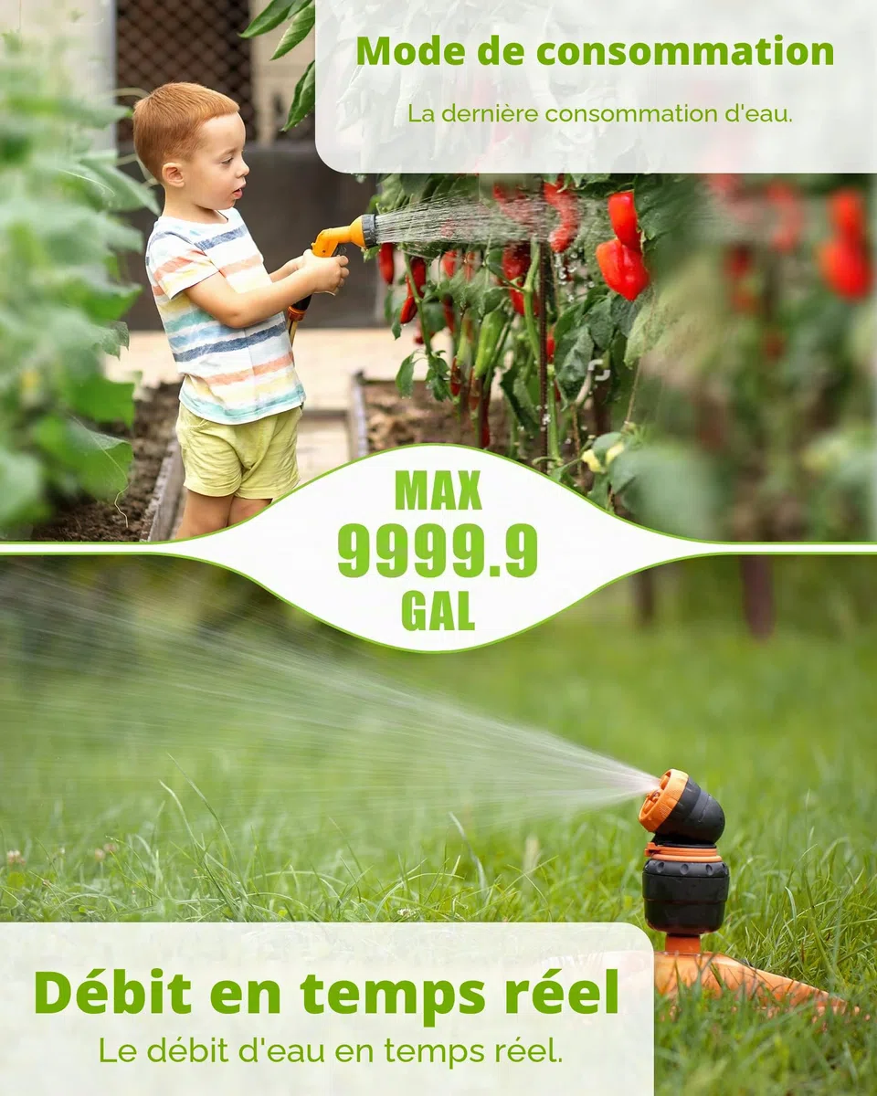 RAINPOINT Compteur d'eau, minuterie d'eau Pratique pour Le Jardin, 4 Modes de contrôle de la consommation, alimentés par des Piles