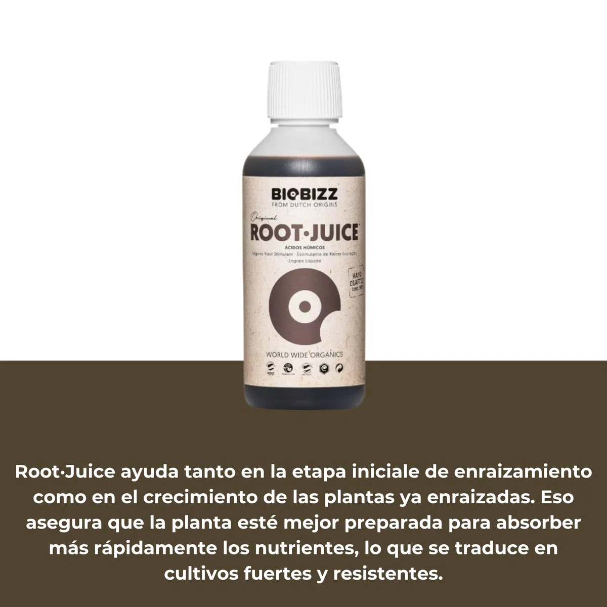 GROWMANIA Root Juice de BioBizz 250 ml + échantillon Boost Up Nutrients + Doseur | Stimulateur de racines biologiques | Pour jeunes plantes et graines