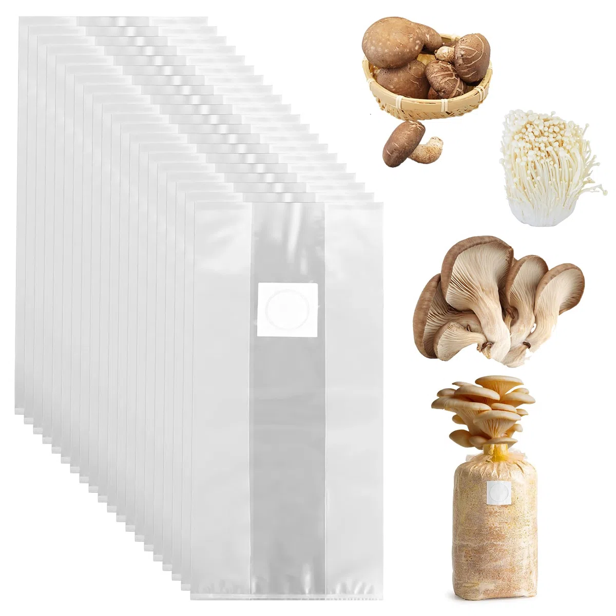 Lot de 40 Sacs de Culture de Champignons : 32 x 50 cm, Avec Filtre, Pour Plantation Horticole