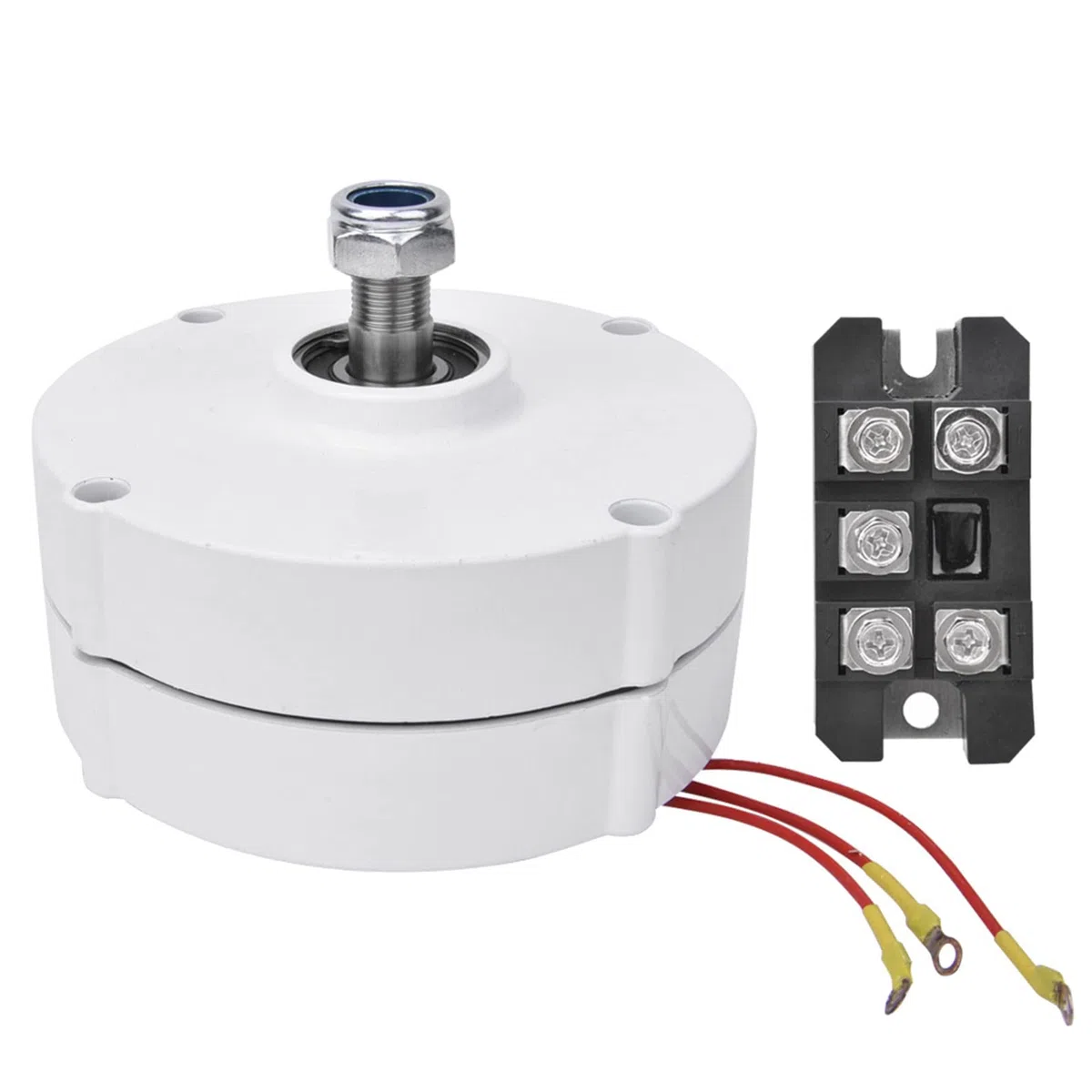 Générateur d'aimant permanent 12 V 100 W Vent alternateur 3 phases pour solutions d'énergie renouvelable (moteur + redresseur)