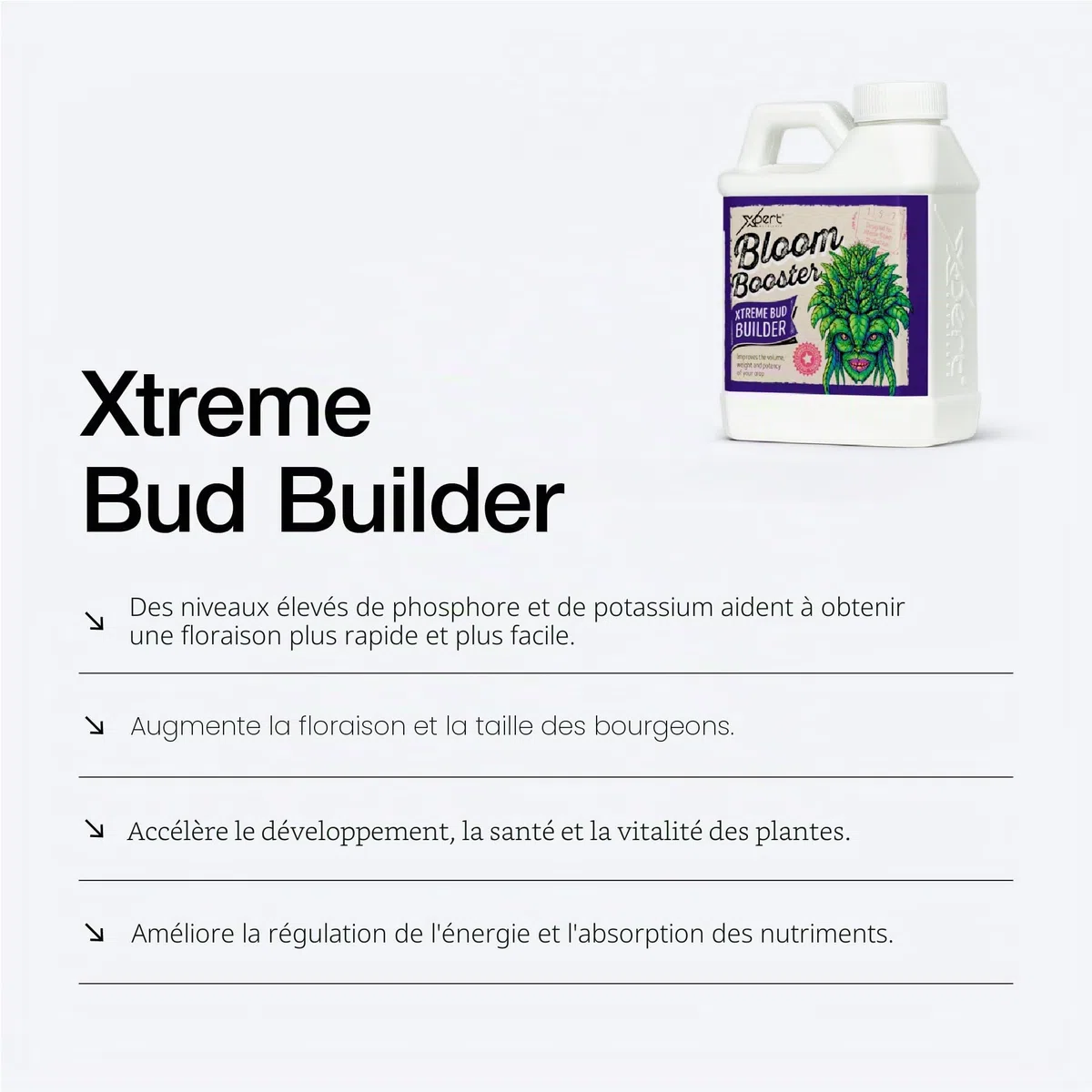 Bloom Booster Stimulateur de Floraison (250 ML)