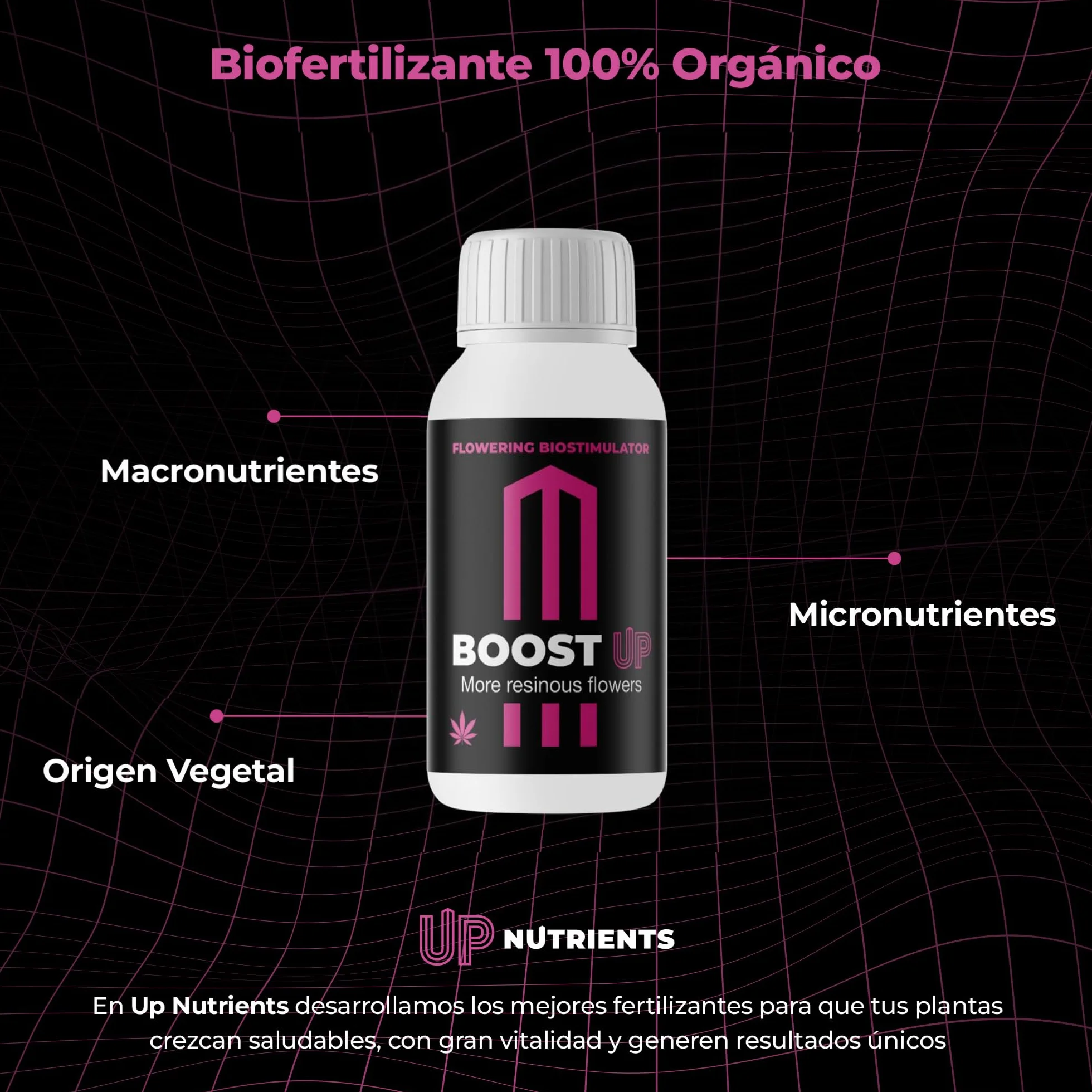 GROWMANIA Root Juice de BioBizz 250 ml + échantillon Boost Up Nutrients + Doseur | Stimulateur de racines biologiques | Pour jeunes plantes et graines